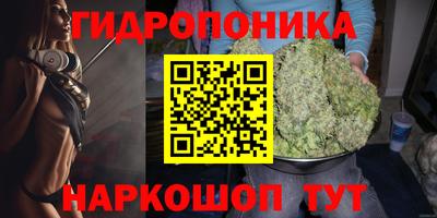гашик Старая Купавна
