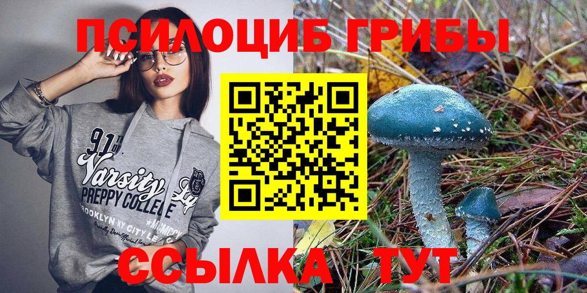 Псилоцибиновые грибы GOLDEN TEACHER  Вход с VPN  Краснознаменск 